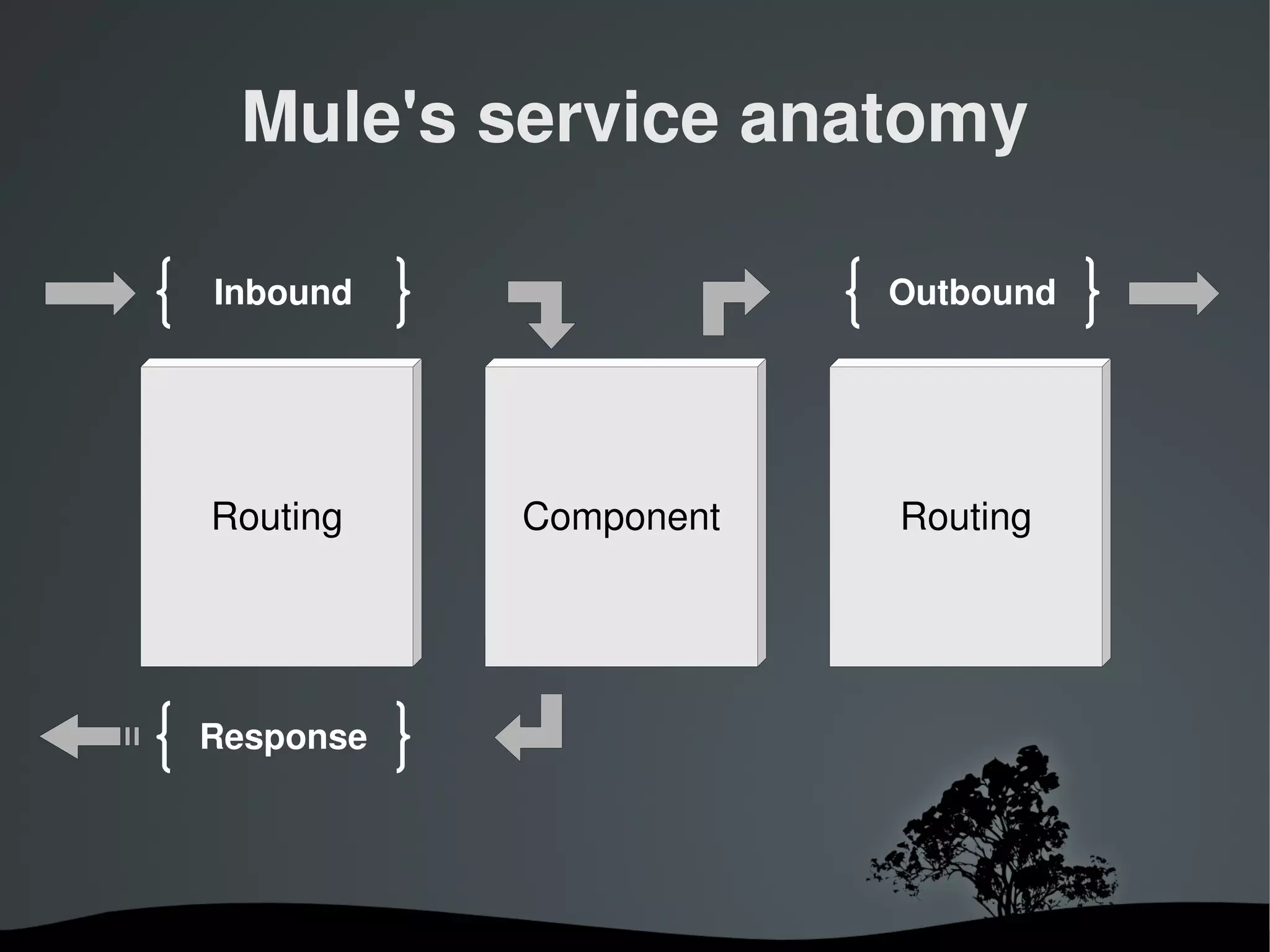 Mule's service anatomy

Inbound                     Outbound




Routing         Component   Routing




Response




             
 