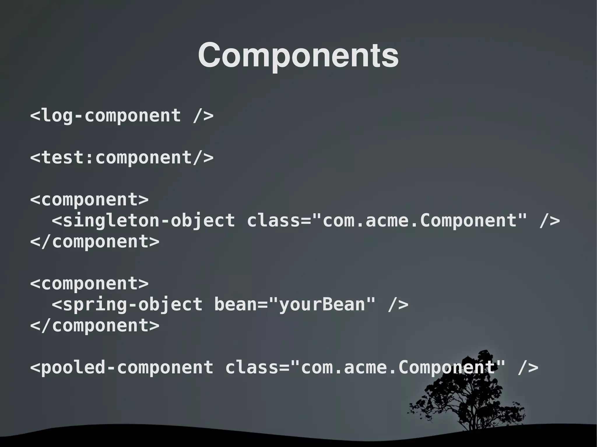 Components
<log-component />

<test:component/>

<component>
  <singleton-object class="com.acme.Component" />
</component>

<component>
  <spring-object bean="yourBean" />
</component>

<pooled-component class="com.acme.Component" />


                     
 