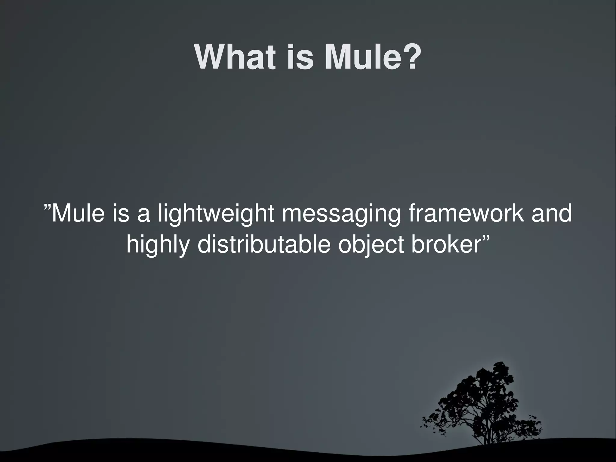 What is Mule?



”Mule is a lightweight messaging framework and 
        highly distributable object broker”




                  
 