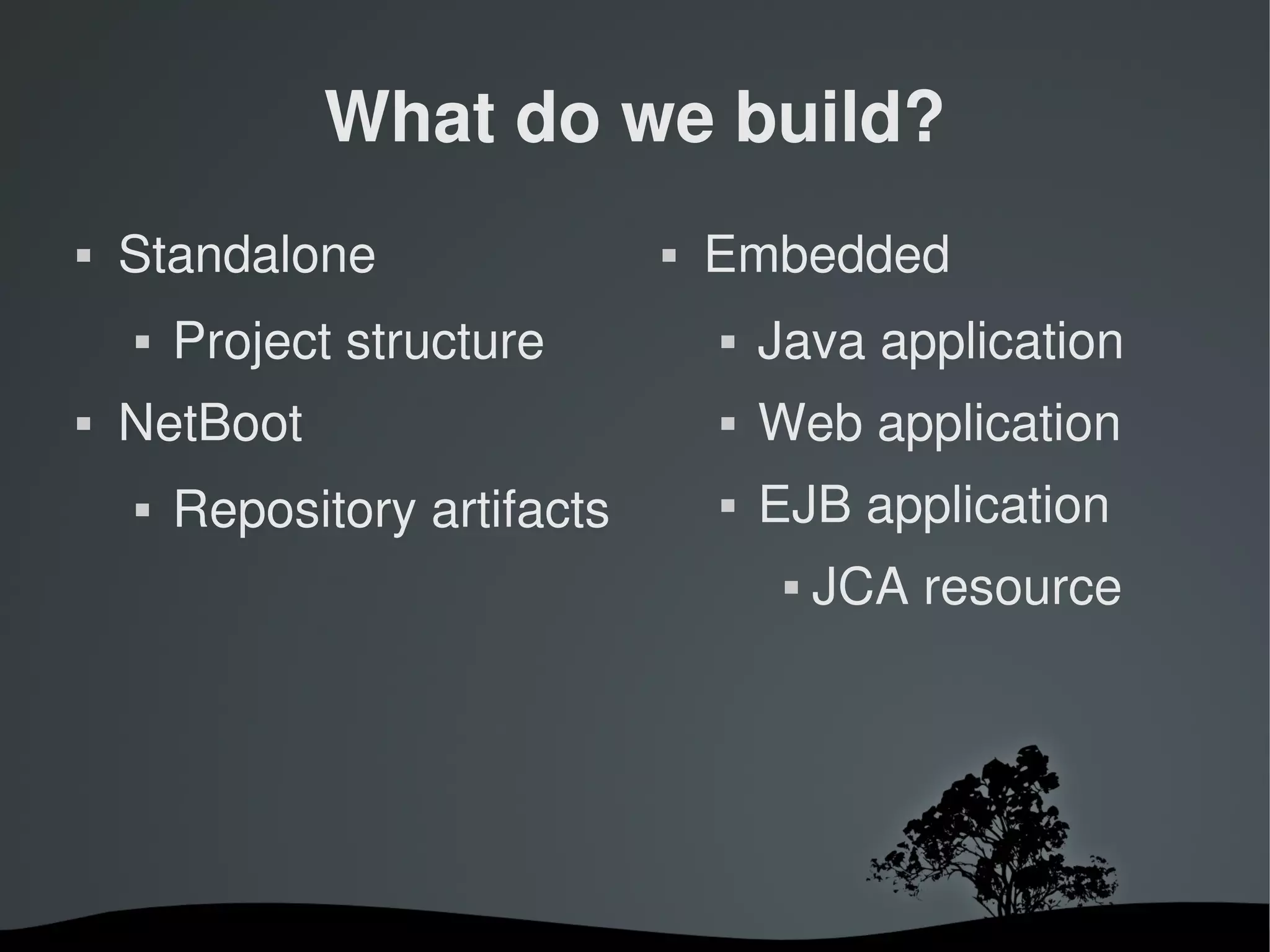 What do we build?
   Standalone                    Embedded
       Project structure             Java application
   NetBoot                           Web application
       Repository artifacts          EJB application
                                           JCA resource




                        
 