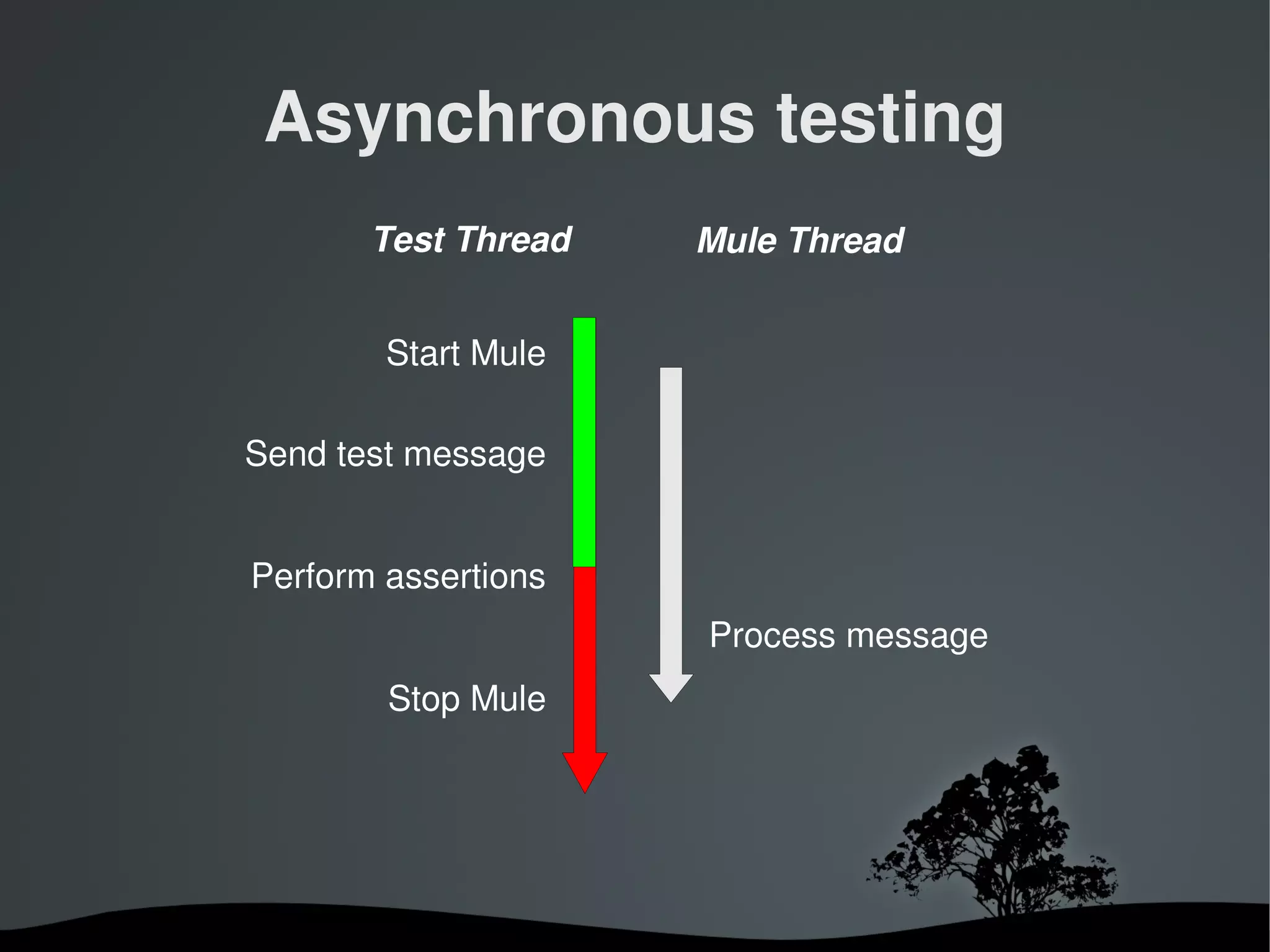 Asynchronous testing
           Test Thread   Mule Thread


            Start Mule

    Send test message


    Perform assertions
                         Process message
            Stop Mule




                    
 