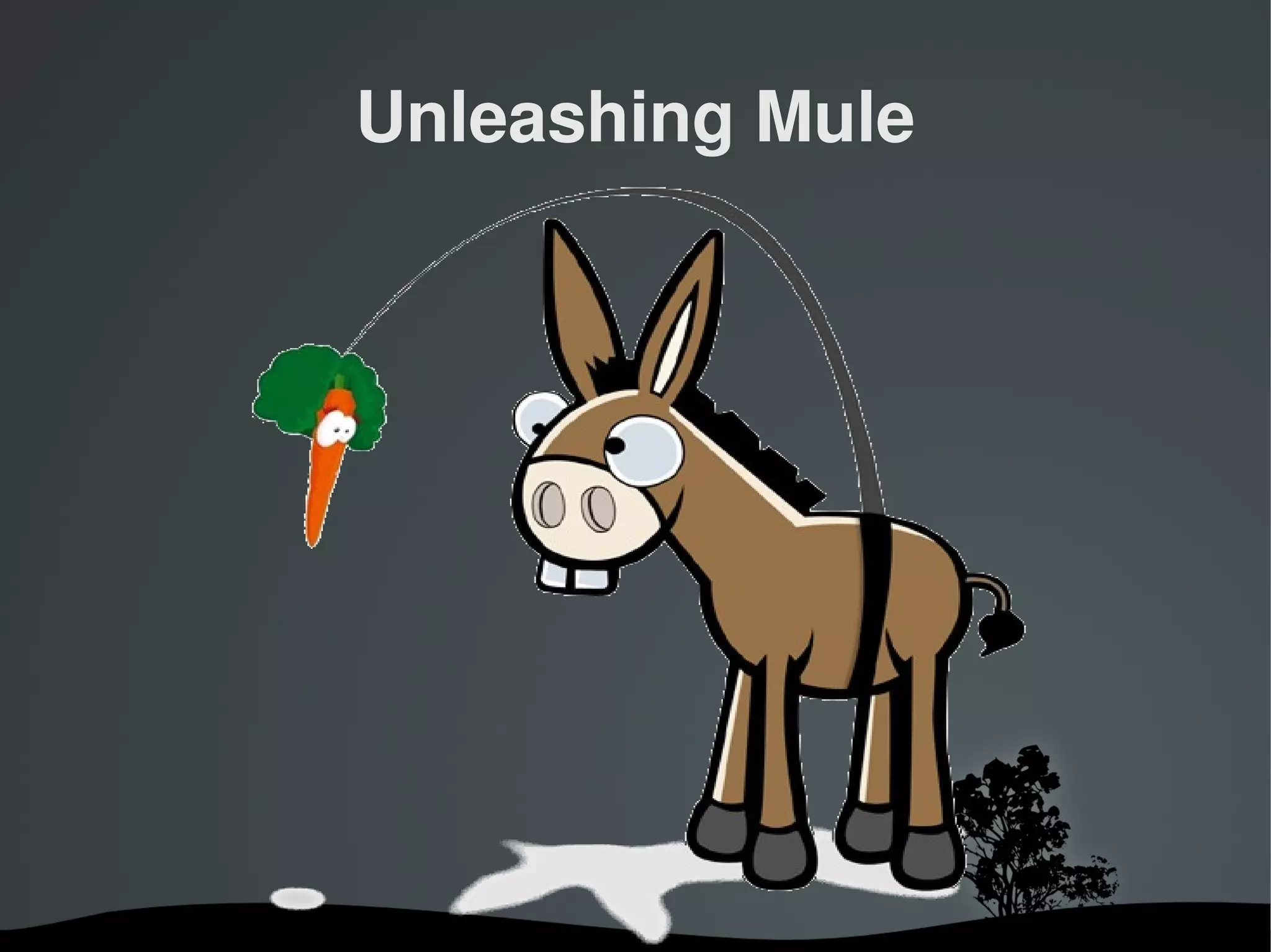 Unleashing Mule




         
 