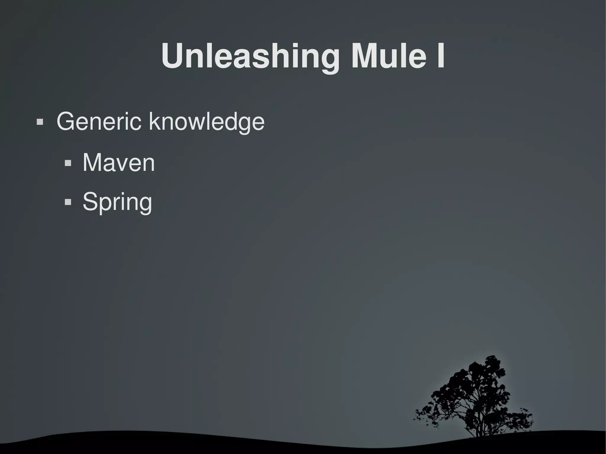Unleashing Mule I
   Generic knowledge
       Maven
       Spring




                      
 