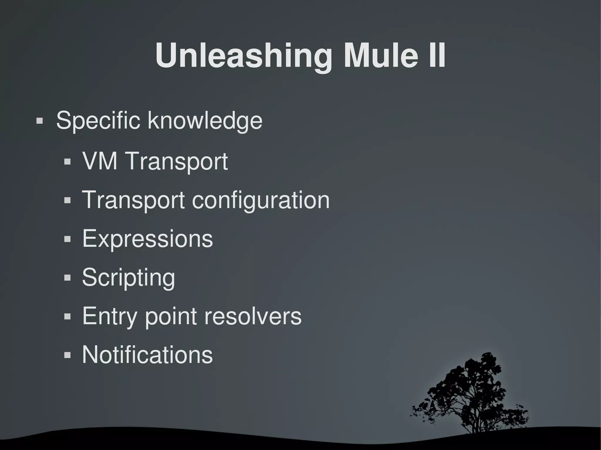 Unleashing Mule II
   Specific knowledge
       VM Transport
       Transport configuration
       Expressions
       Scripting
       Entry point resolvers
       Notifications


                         
 