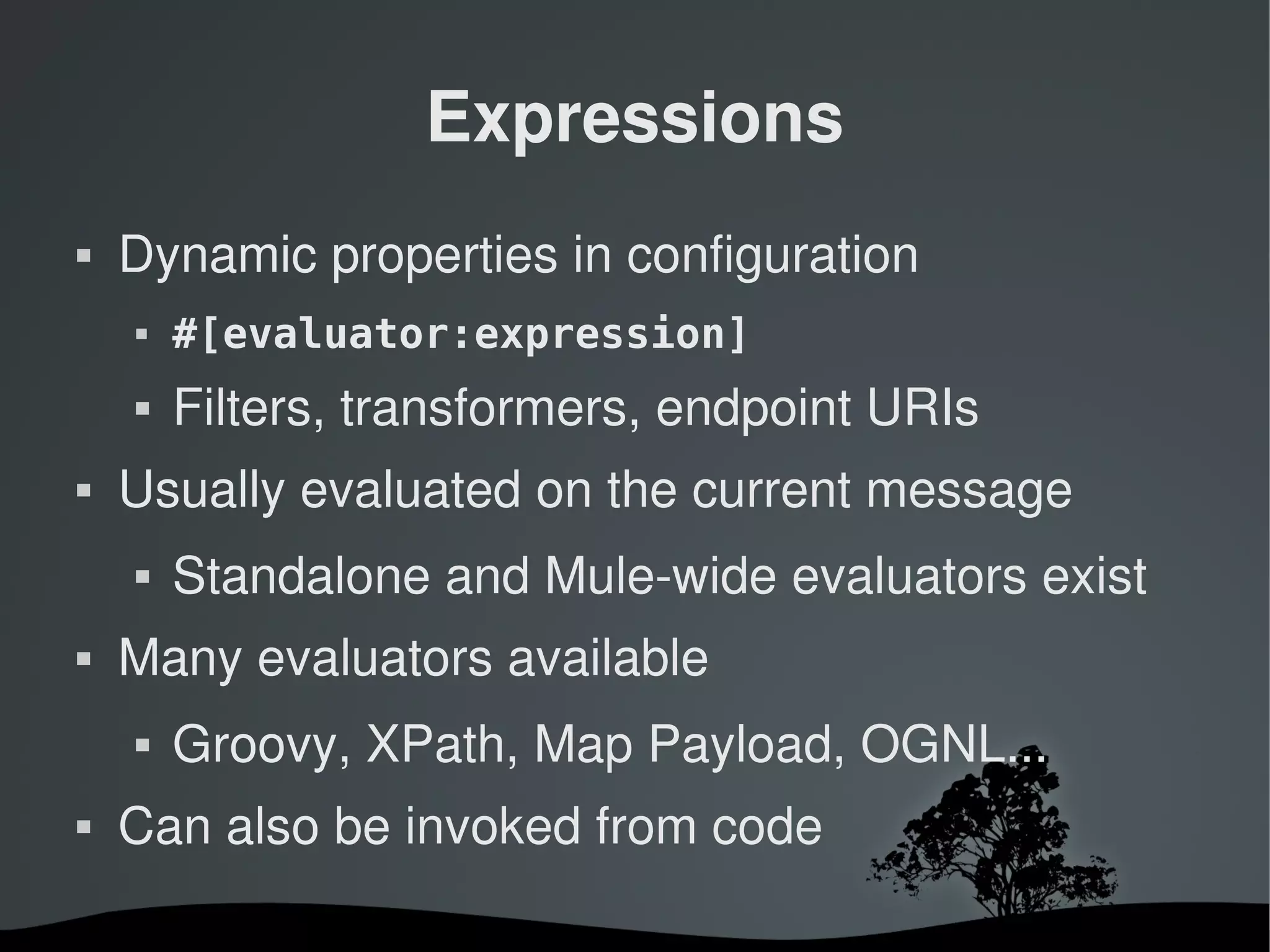 Expressions
   Dynamic properties in configuration
       #[evaluator:expression]
       Filters, transformers, endpoint URIs
   Usually evaluated on the current message
       Standalone and Mule­wide evaluators exist
   Many evaluators available
       Groovy, XPath, Map Payload, OGNL...
   Can also be invoked from code

                        
 