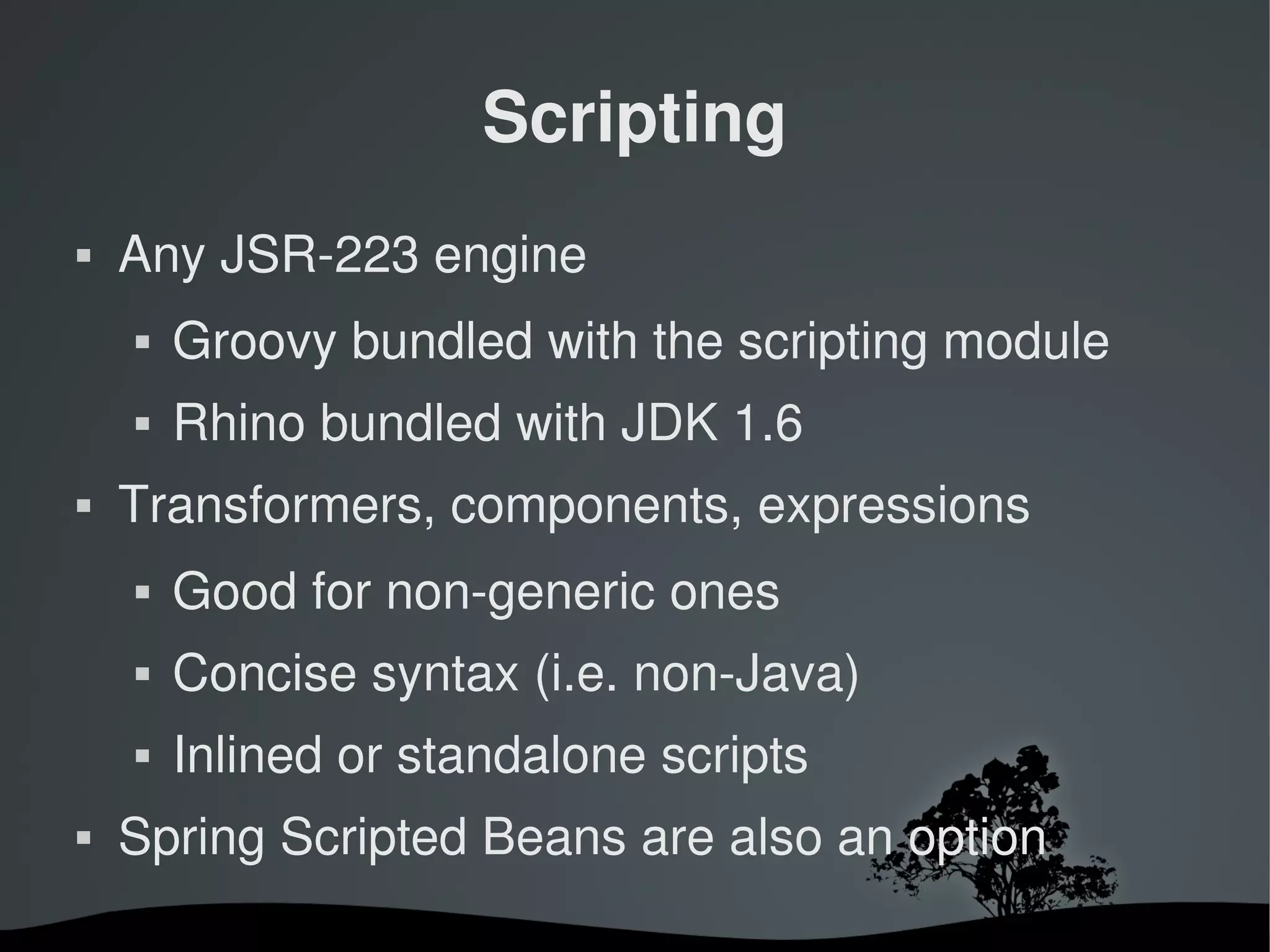 Scripting
   Any JSR­223 engine
       Groovy bundled with the scripting module
       Rhino bundled with JDK 1.6
   Transformers, components, expressions
       Good for non­generic ones
       Concise syntax (i.e. non­Java)
       Inlined or standalone scripts
   Spring Scripted Beans are also an option
                        
 