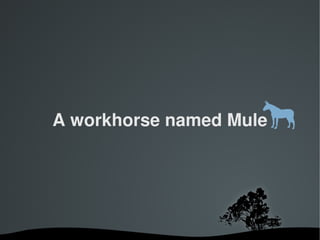 A workhorse named Mule




        
 