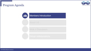 © EAIESB Software Solutions
Program Agenda
Members Introduction
About US
Mule 4 Discussion
Group collaborations
 