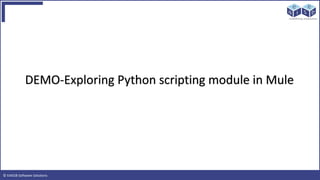 © EAIESB Software Solutions
DEMO-Exploring Python scripting module in Mule
 