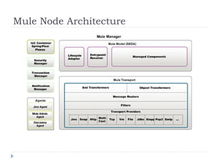Mule Node Architecture
 