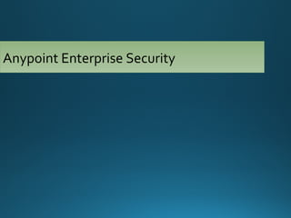 Anypoint Enterprise Security
 