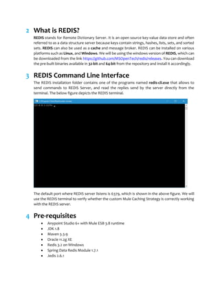 Mule caching strategy with redis cache | PDF