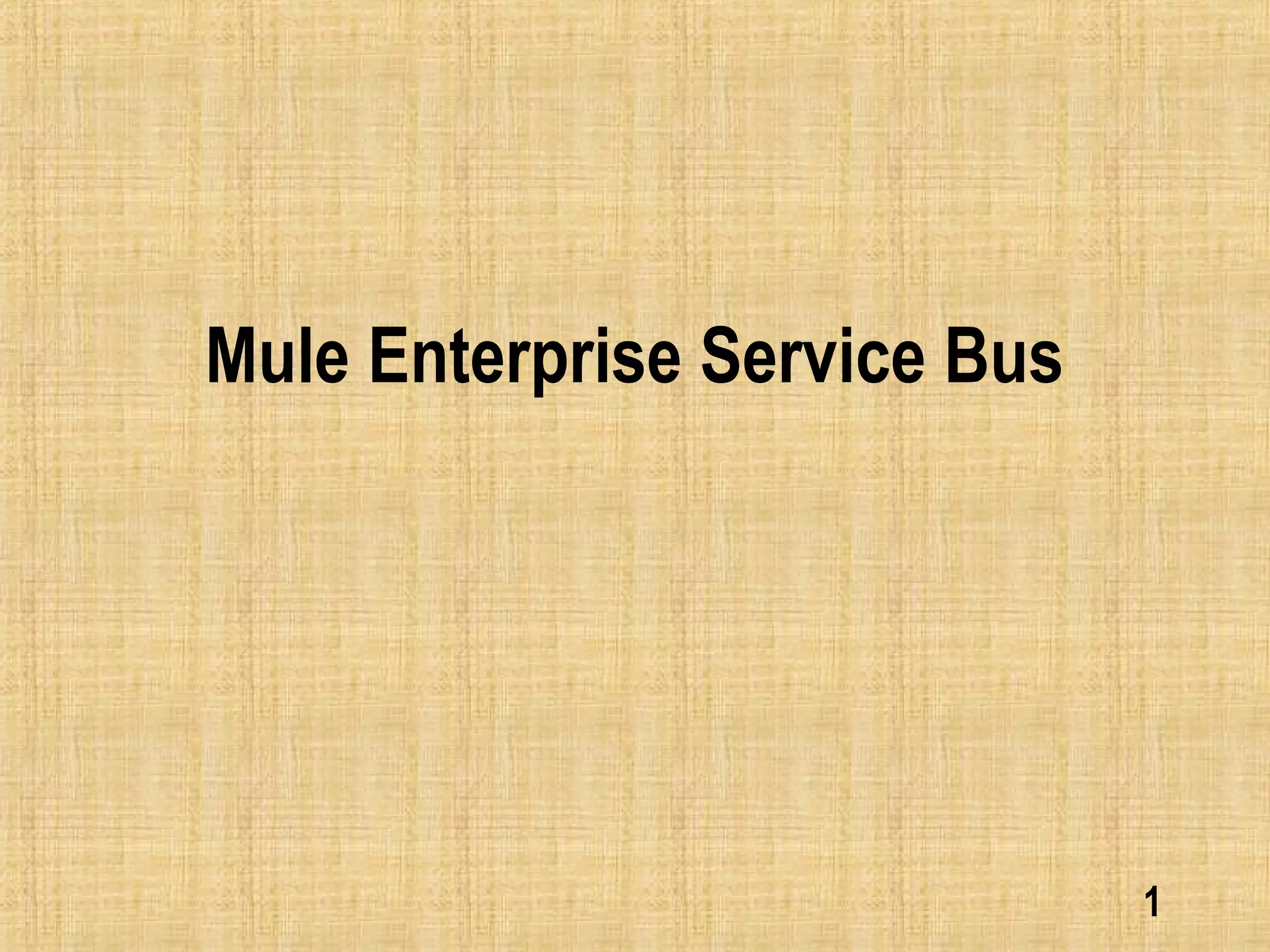 Mule Enterprise Service Bus
1
 