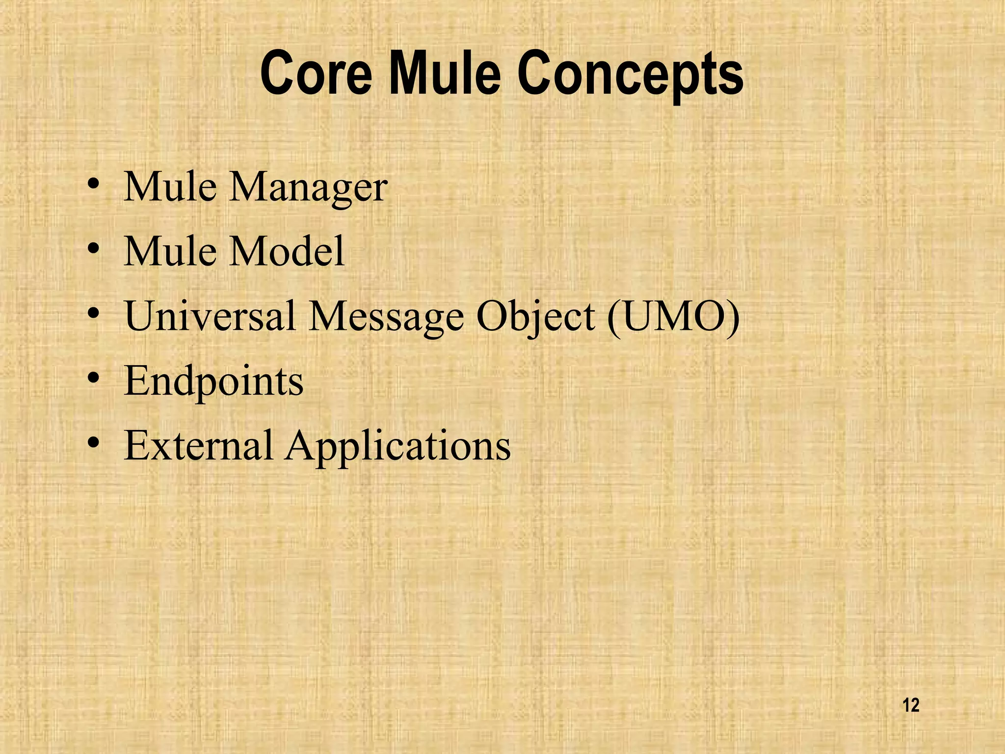 12
Core Mule Concepts
• Mule Manager
• Mule Model
• Universal Message Object (UMO)
• Endpoints
• External Applications
 