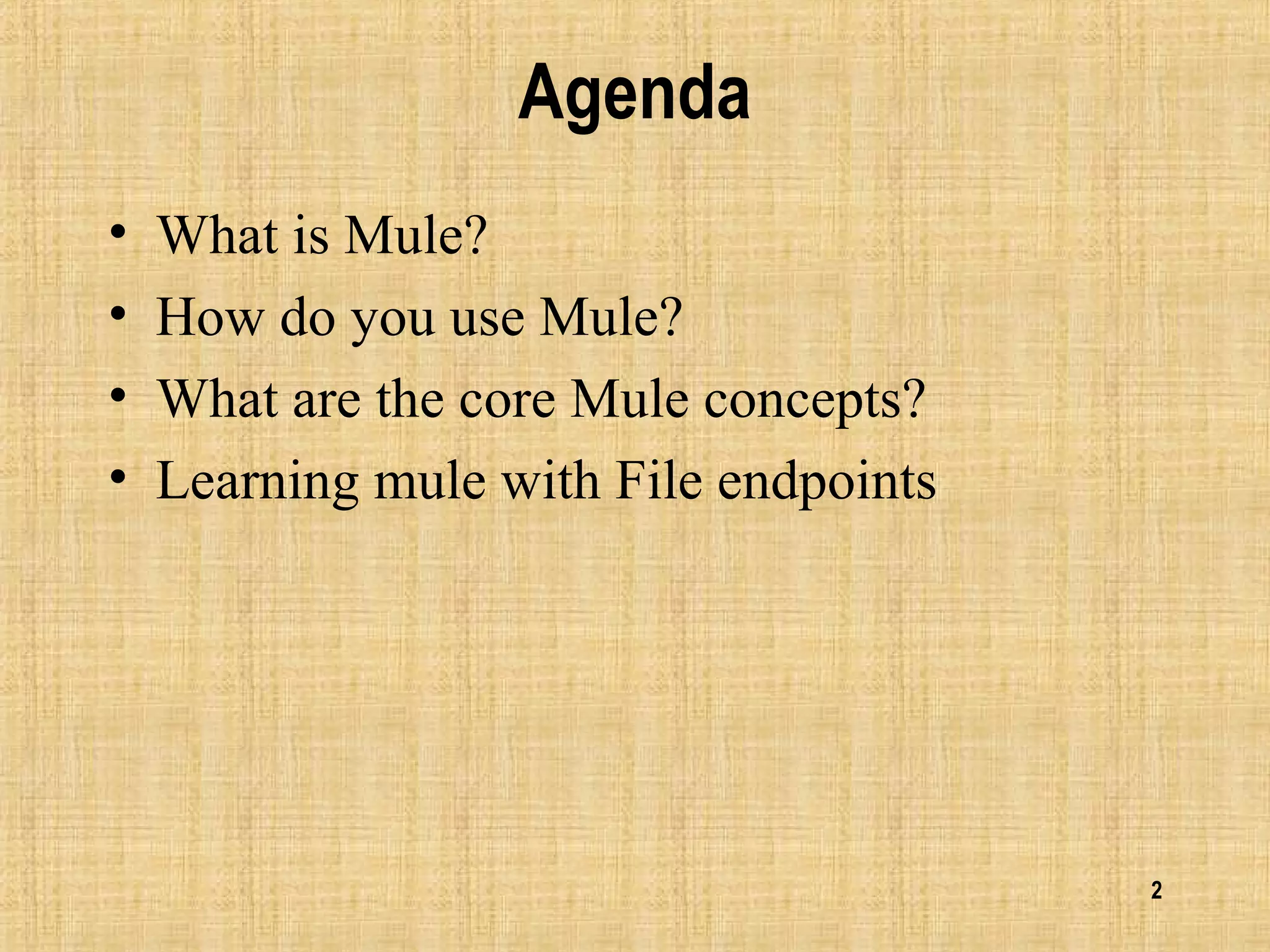 2
Agenda
• What is Mule?
• How do you use Mule?
• What are the core Mule concepts?
• Learning mule with File endpoints
 