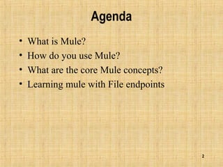 2
Agenda
• What is Mule?
• How do you use Mule?
• What are the core Mule concepts?
• Learning mule with File endpoints
 