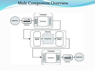 Mule Component Overview
 