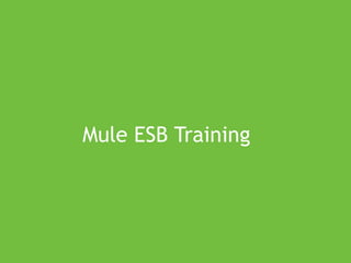 Mule ESB Training
 