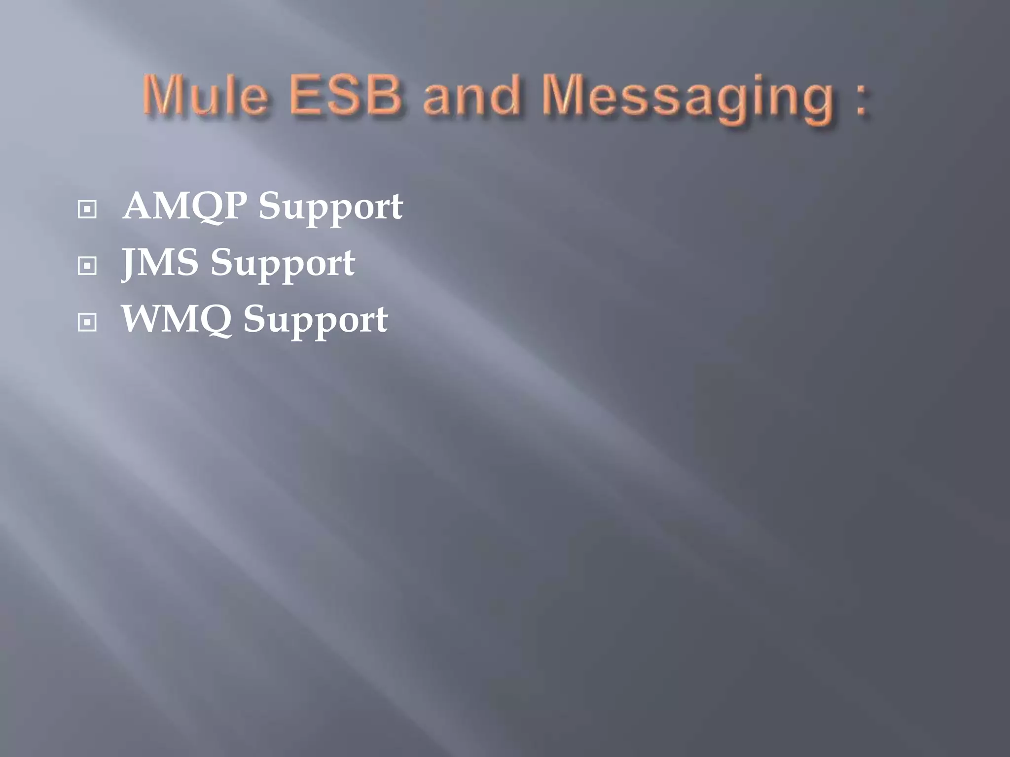  AMQP Support
 JMS Support
 WMQ Support
 