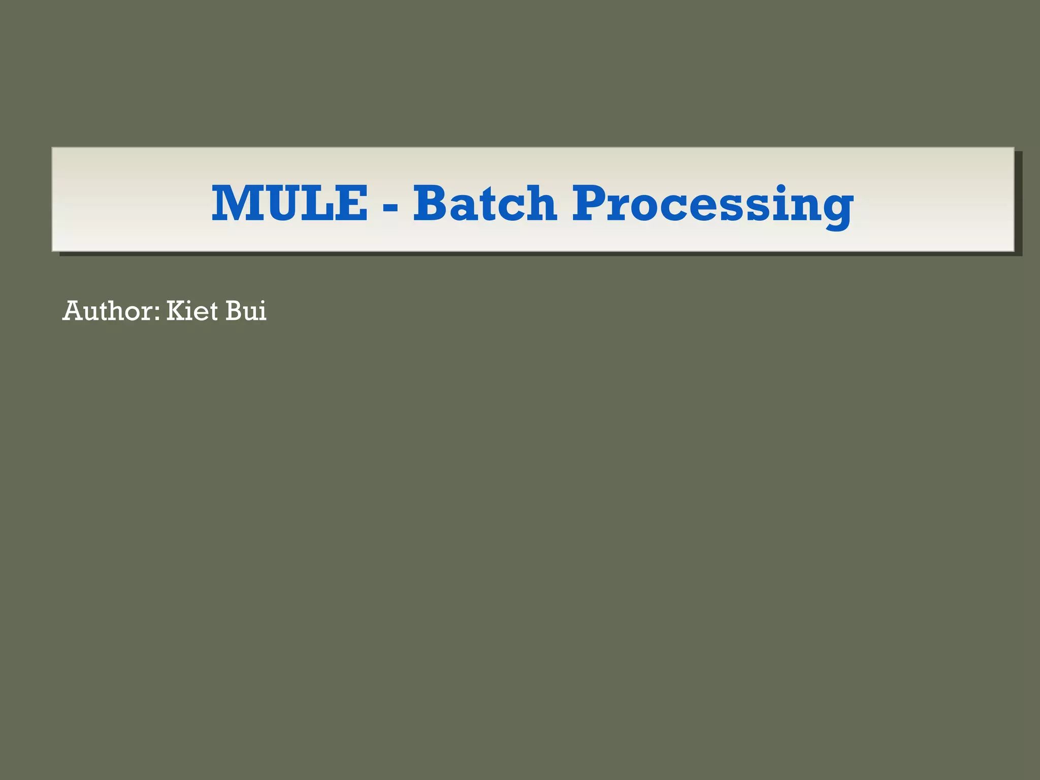 MULE - Batch ProcessingMULE - Batch Processing
Author: Kiet Bui
 