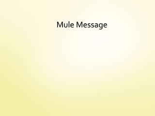 Mule Message
 