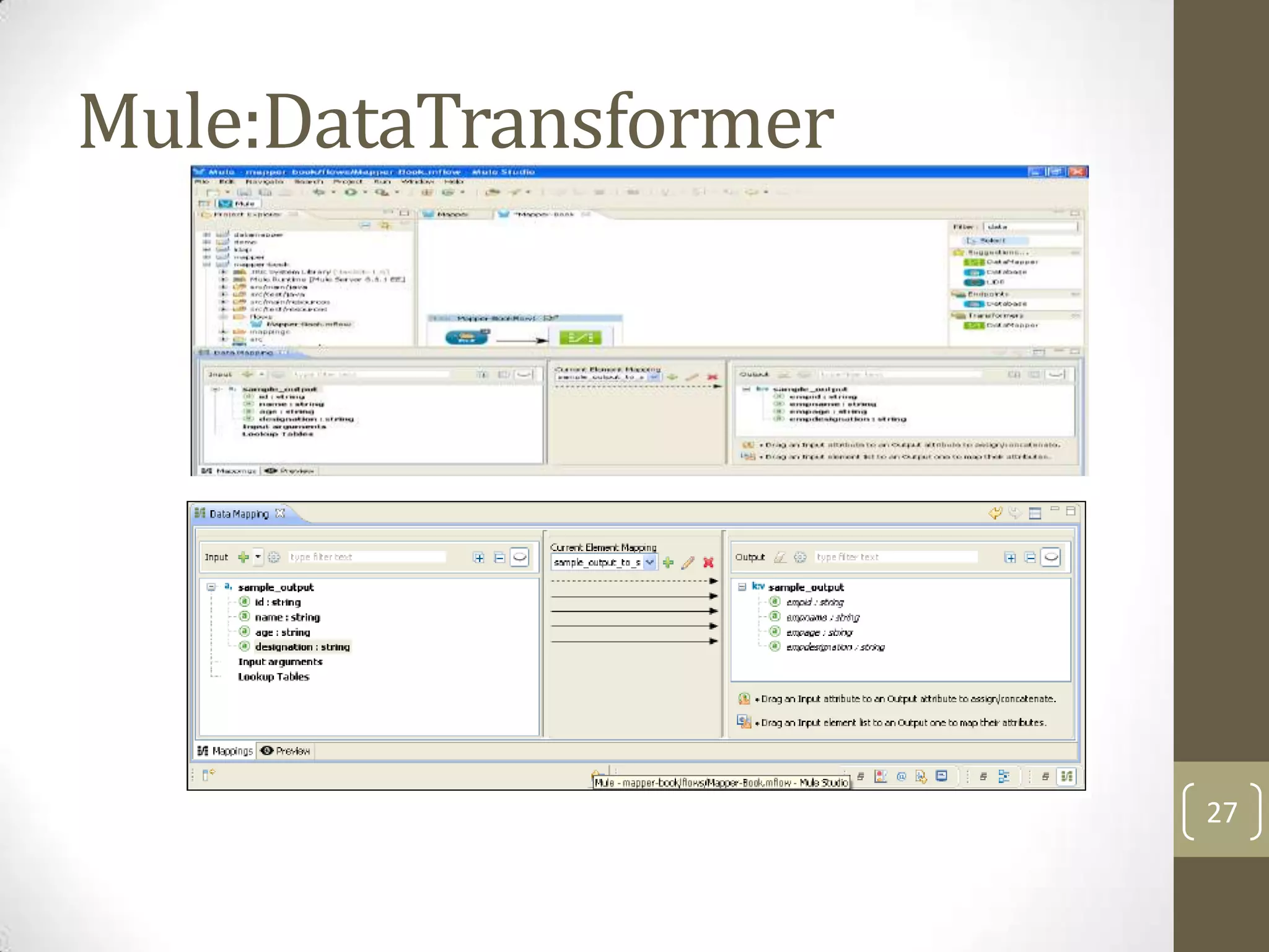 Mule:DataTransformer
27
 