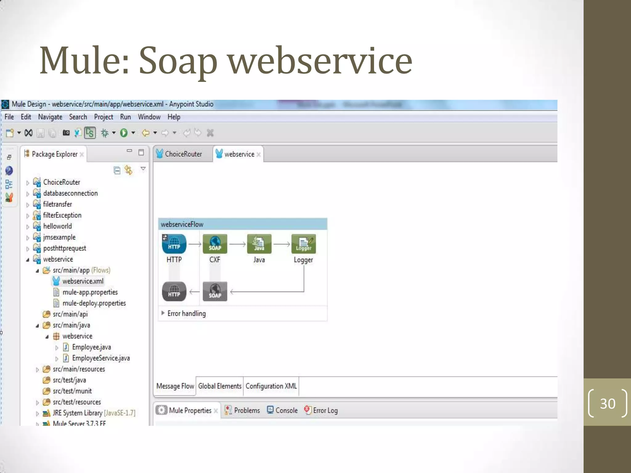 Mule: Soap webservice
30
 