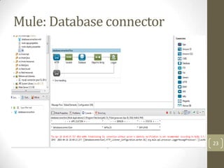 Mule: Database connector
23
 
