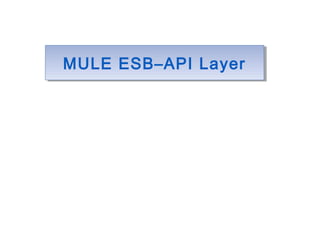 MULE ESB–API LayerMULE ESB–API Layer
 