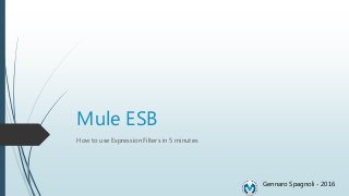 Mule ESB
How to use Expression Filters in 5 minutes
Gennaro Spagnoli - 2016
 