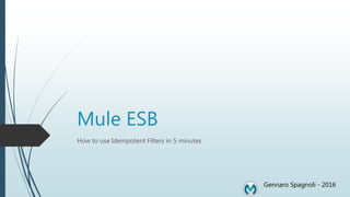 Mule ESB
How to use Idempotent Filters in 5 minutes
Gennaro Spagnoli - 2016
 
