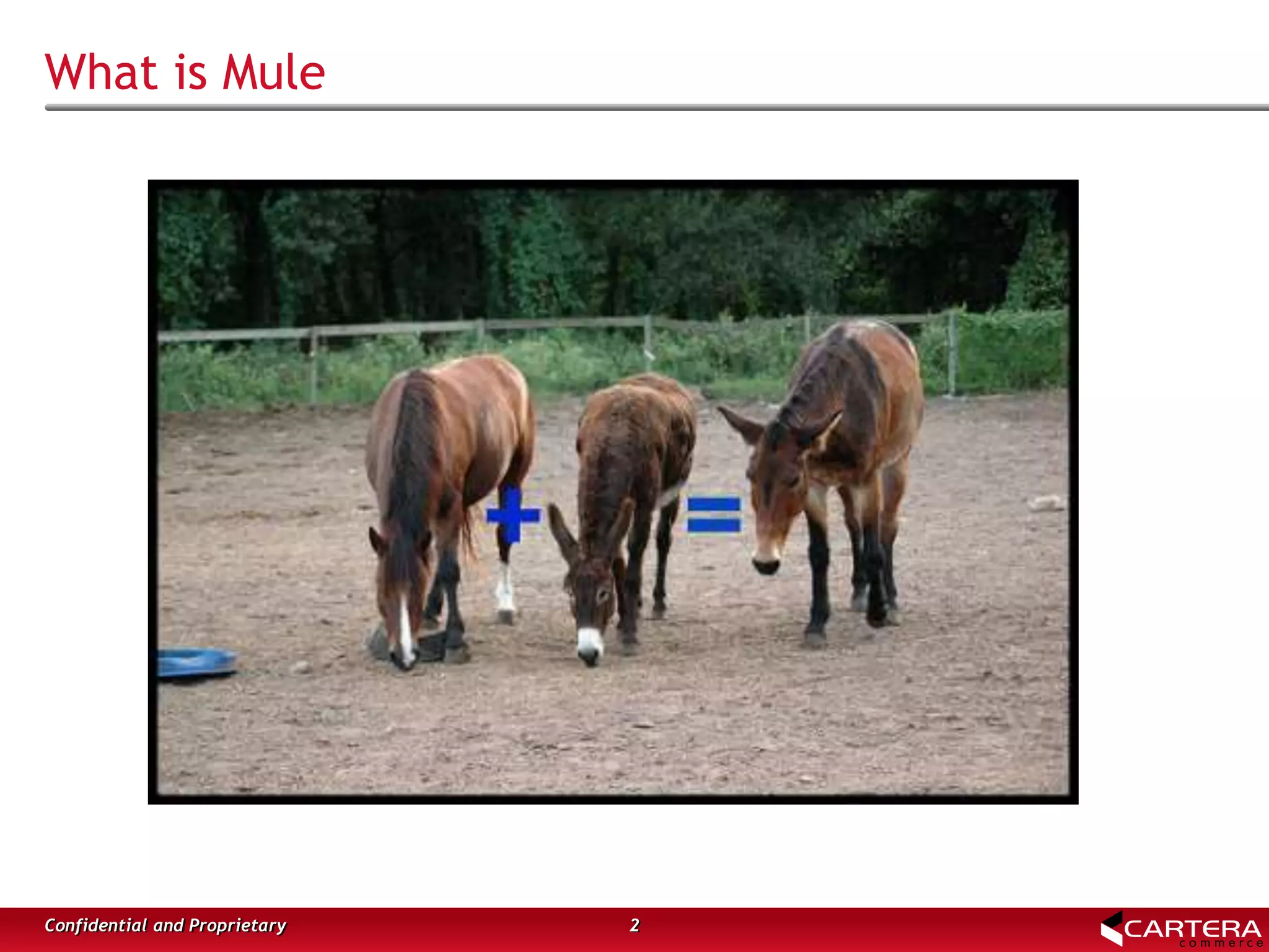 What is Mule
2Confidential and Proprietary
 