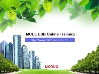 L/O/G/O
MULE ESB Online Training
http://www.todaycourses.com
 