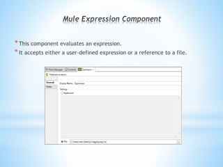 Mule expression component | PPTX