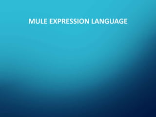 MULE EXPRESSION LANGUAGE
 