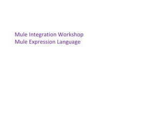 Mule Integration Workshop
Mule Expression Language
 