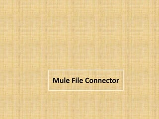 Mule File Connector
 
