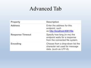 Advanced Tab
Property Description
Address Enter the address for this
endpoint, such
as http://localhost:8081/file.
Response Timeout Specify how long (in ms) the
endpoint waits for a response
from the connected file system.
Encoding Choose from a drop-down list the
character set used for message
data. (such as UTF-8).
 