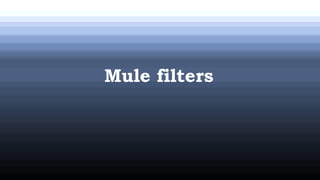 Mule filters
 
