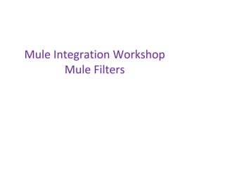 Mule Integration Workshop
Mule Filters
 