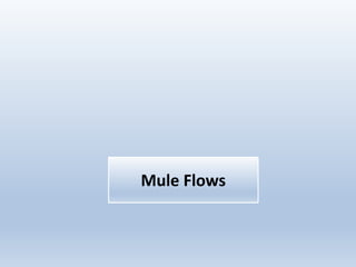 Mule Flows
 