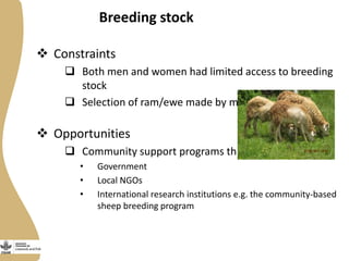 Opportunities and constraints to women's access to, and control over, resources in the small ruminant value chain in Ethiopia  