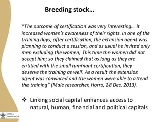 Opportunities and constraints to women's access to, and control over, resources in the small ruminant value chain in Ethiopia  