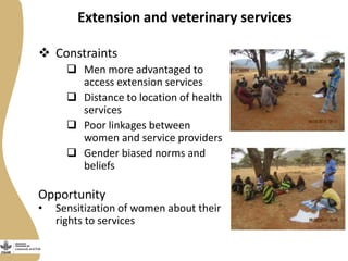Opportunities and constraints to women's access to, and control over, resources in the small ruminant value chain in Ethiopia  
