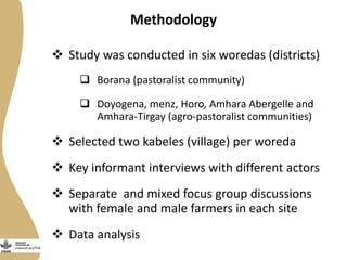 Opportunities and constraints to women's access to, and control over, resources in the small ruminant value chain in Ethiopia  