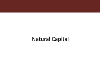 Addressing gender inequalities in Ethiopia’s agricultural sector to reduce poverty