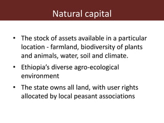 Addressing gender inequalities in Ethiopia’s agricultural sector to reduce poverty