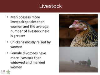 Addressing gender inequalities in Ethiopia’s agricultural sector to reduce poverty