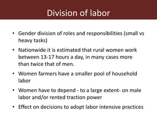 Addressing gender inequalities in Ethiopia’s agricultural sector to reduce poverty
