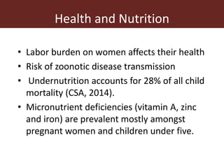 Addressing gender inequalities in Ethiopia’s agricultural sector to reduce poverty